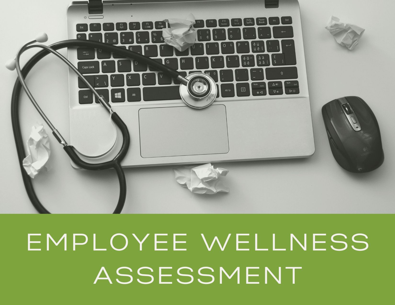Employee Wellness Assessment